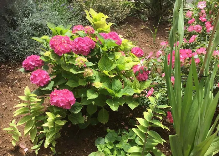 Hope Apartmán Dubrovník