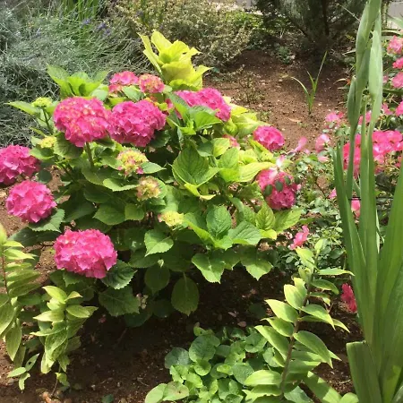 Hope アパート ドゥブロブニク