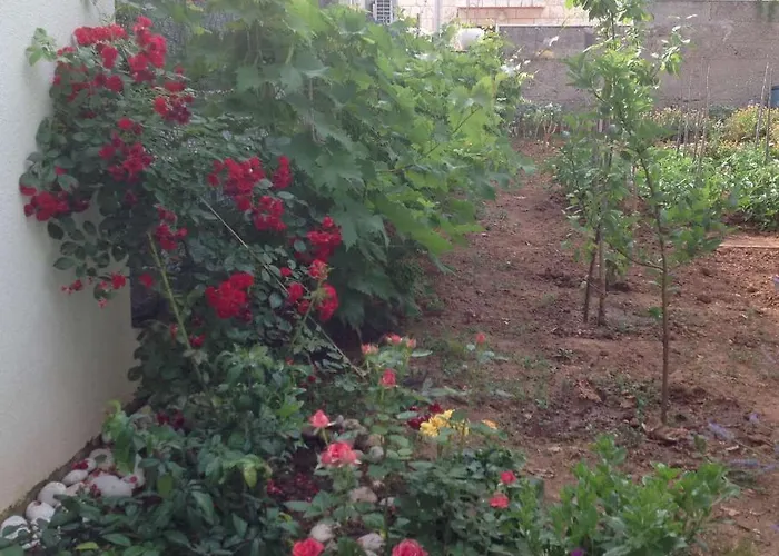 Апартаменты Hope *